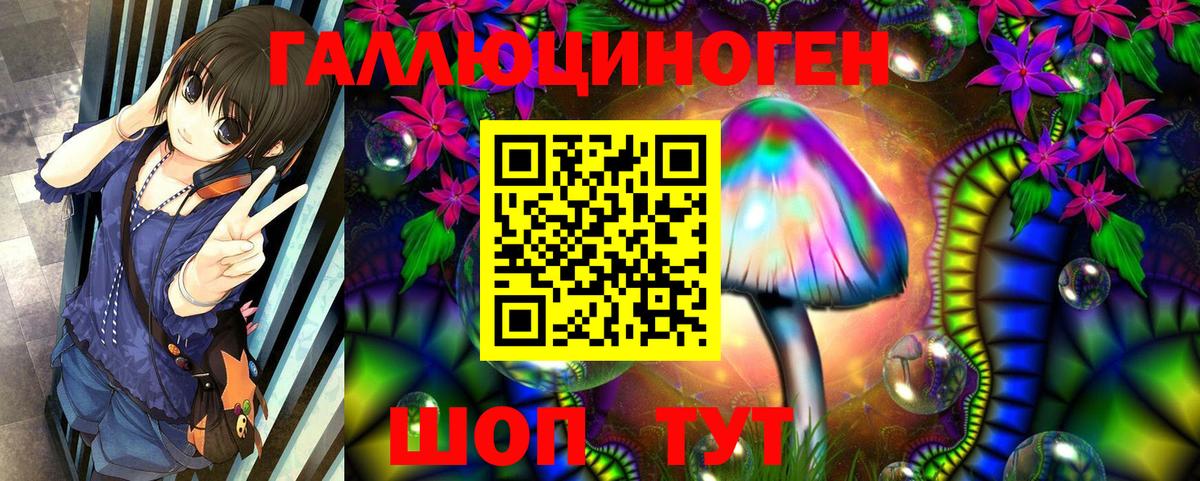 Псилоцибиновые грибы Cubensis  Псилоцибиновые грибы MAGIC MUSHROOMS  Осинники  Вход с VPN 